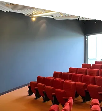 Commander<br>en ligne